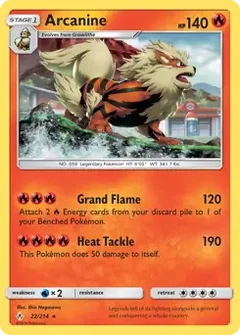Arcanine Holo 22