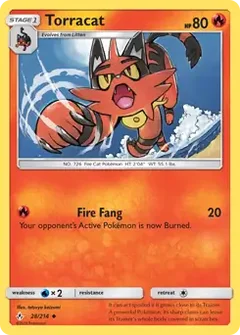 Torracat 28