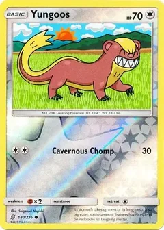 Yungoos Reverse Holo 180