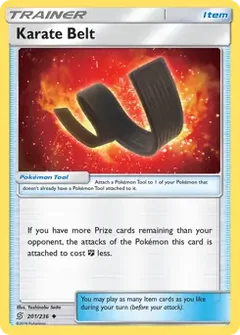 Karate Belt 201