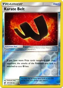 Karate Belt Reverse Holo 201