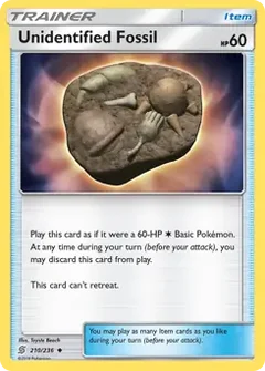 Unidentified Fossil 210