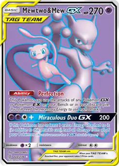 Full Art Mewtwo & Mew GX
