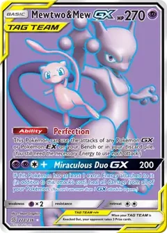 Full Art Mewtwo & Mew GX 222