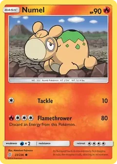 Numel 23