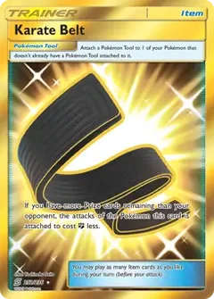 Karate Belt Secret 252