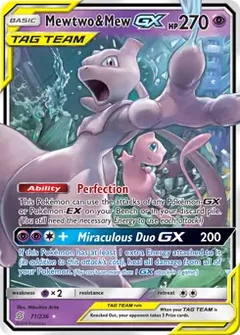 Mewtwo & Mew GX 71