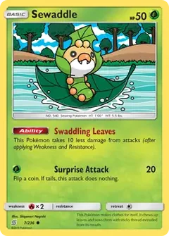 Sewaddle 7