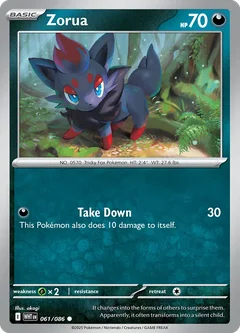 Zorua 061