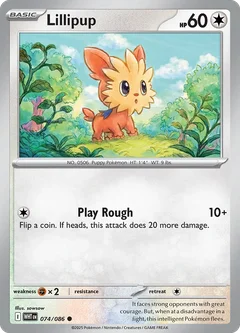 Lillipup 074