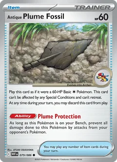 Antique Plume Fossil 079