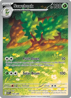Sawsbuck 092