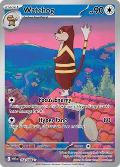 Watchog 153