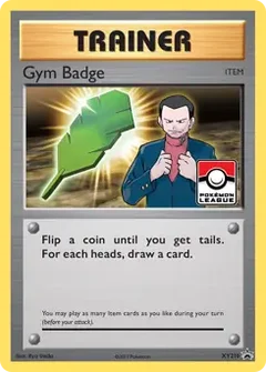 Gym Badge XY210